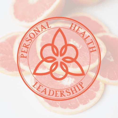 Logo Personal Health Leadership Programma